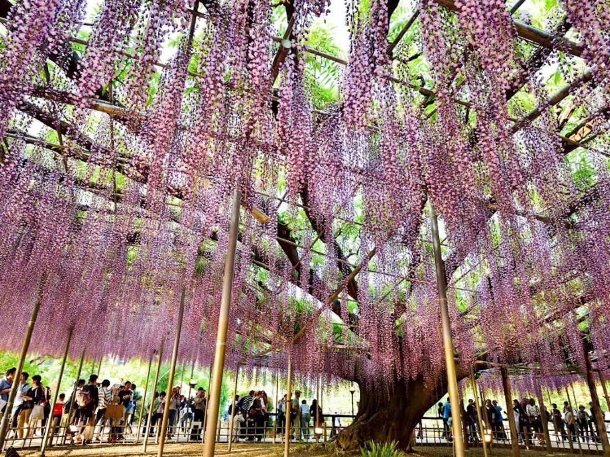 ホテル Nasushiobara Ichimantei エクステリア 写真